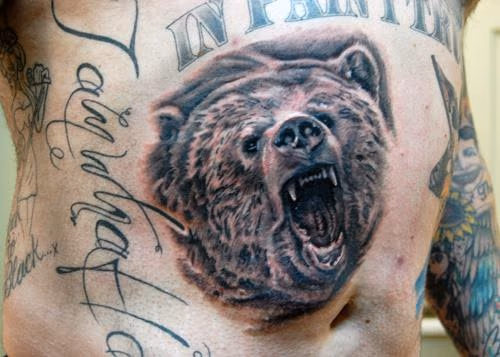 Grizzly bear
