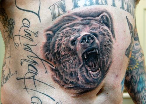 Grizzly bear