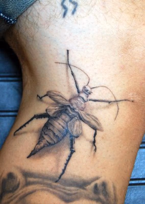Black and Gray bug tattoo