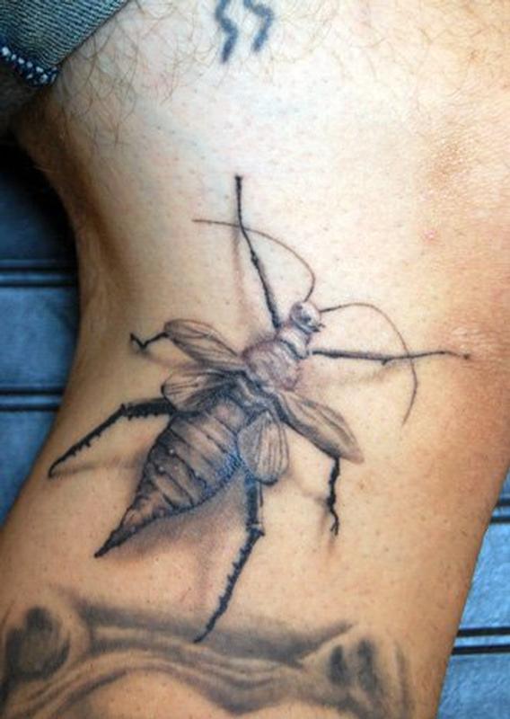 Black and Gray bug tattoo