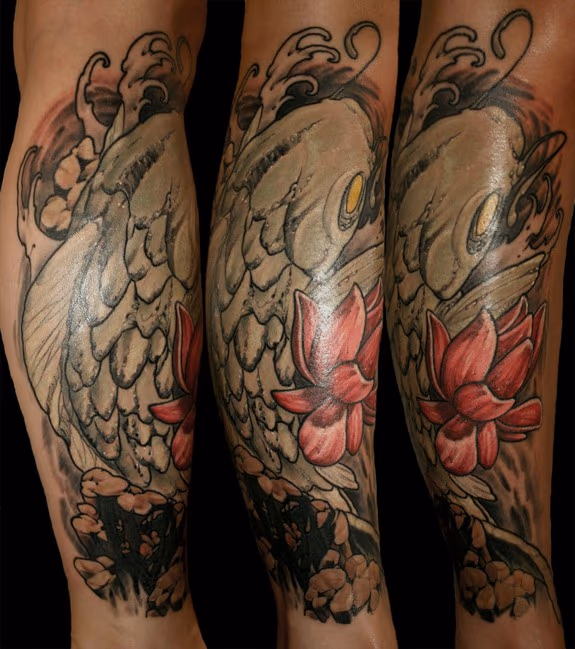 koi