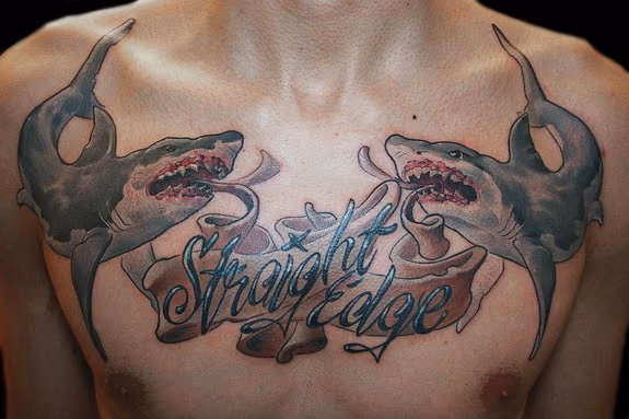 sxe sharks