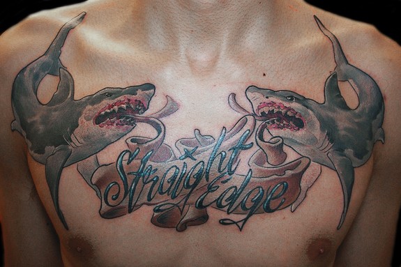 sxe sharks