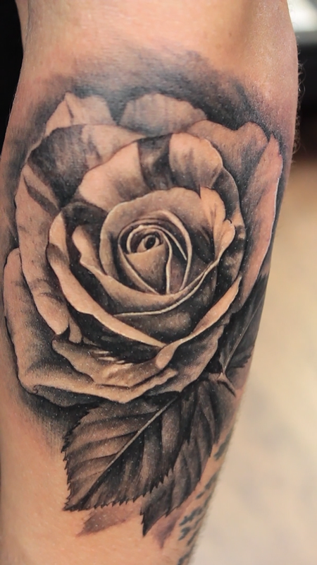 Black And Gray Striped Rose