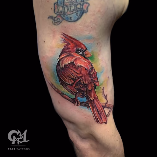 Cardinal Bird Tattoo