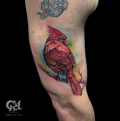 Cardinal Bird Tattoo