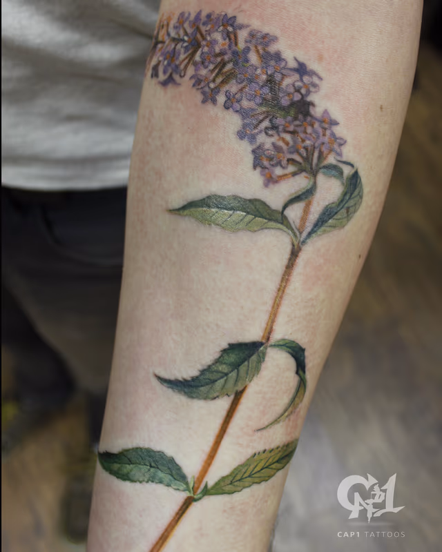 Butterfly Bush Tattoo