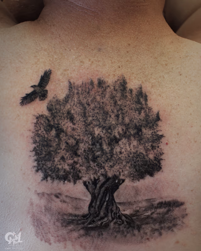 Olive Tree Tattoo