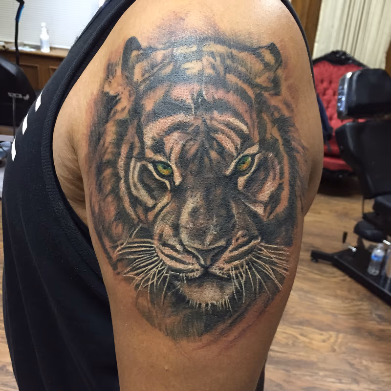 Black and Grey Tiger (Cover Up) with Deep-Set Green Ees