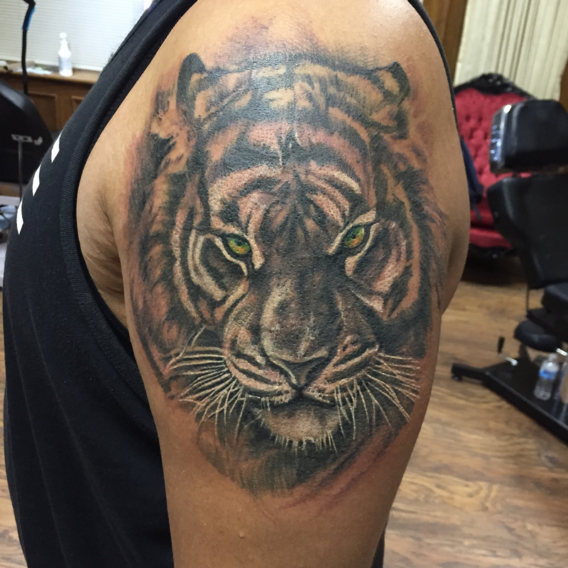 Black and Grey Tiger (Cover Up) with Deep-Set Green Ees