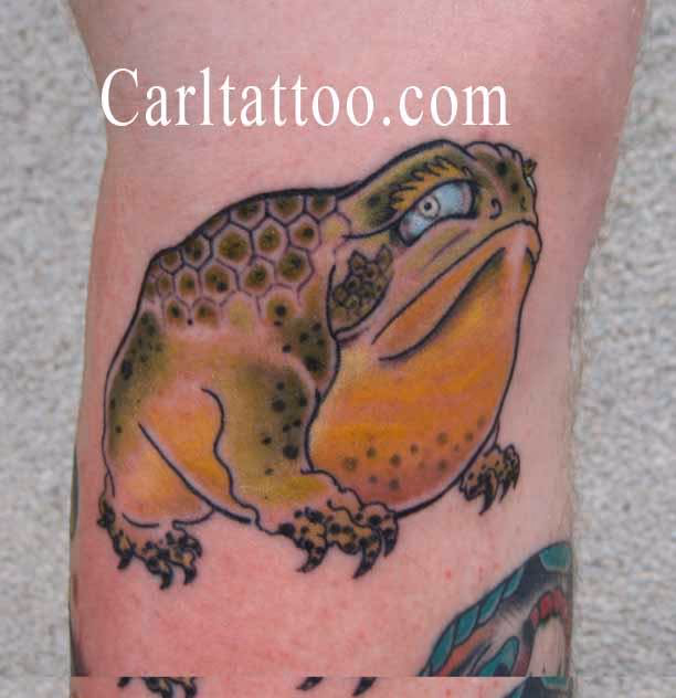 japanese toad by carl sebastian