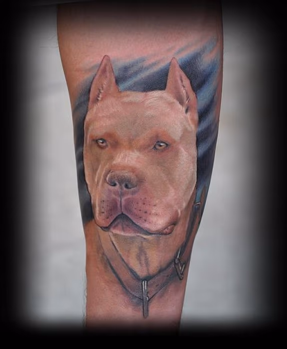 pitbull