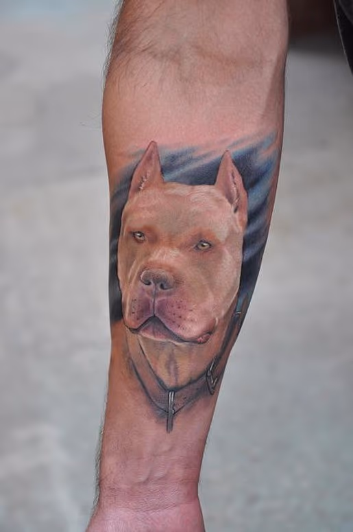 pitbull