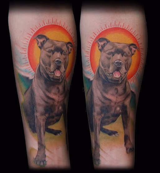 dog portrait