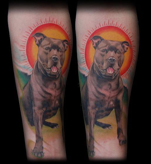 dog portrait
