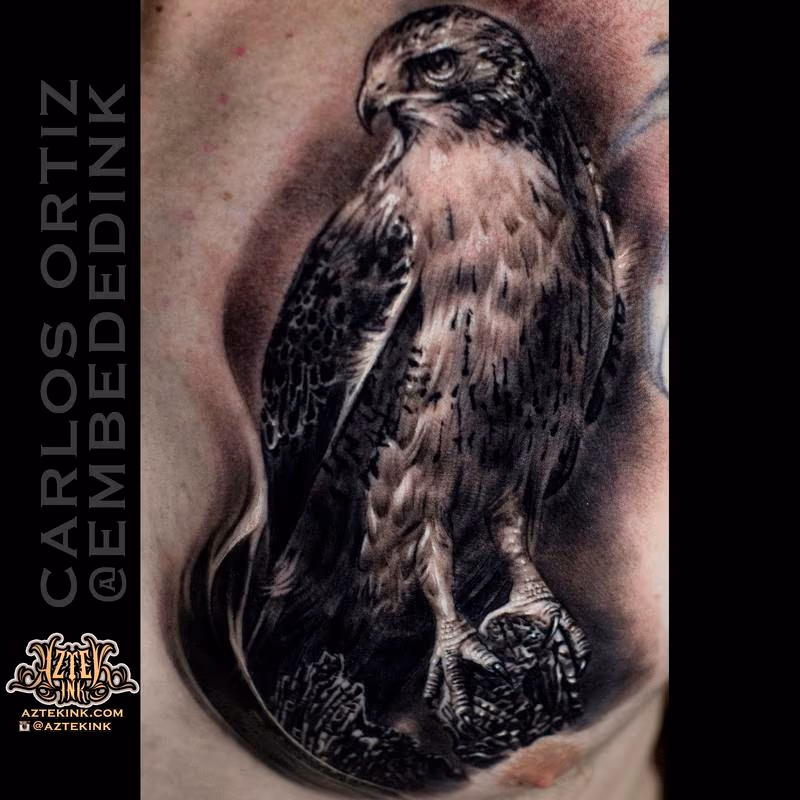 Latest work — Carlos Ortiz