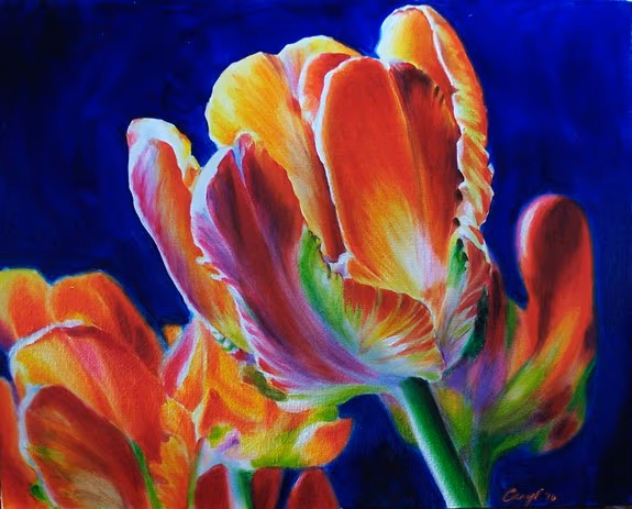 Tulips