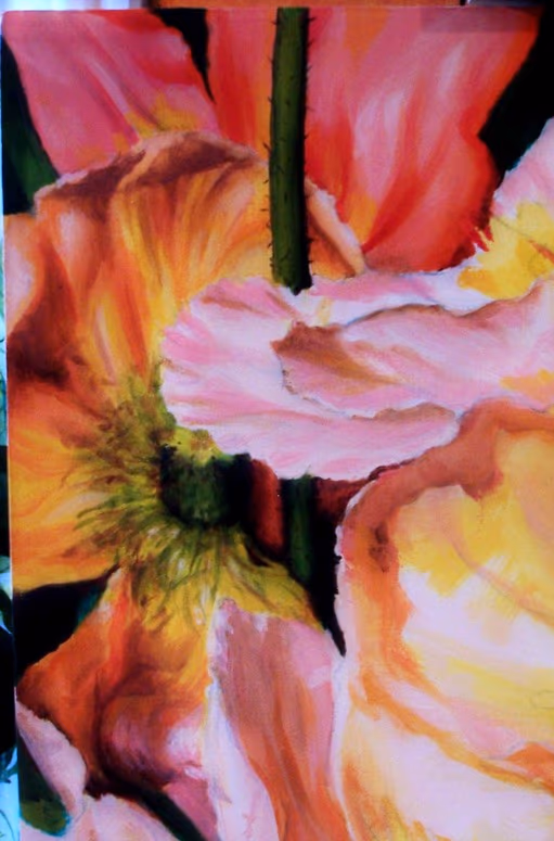 Poppies