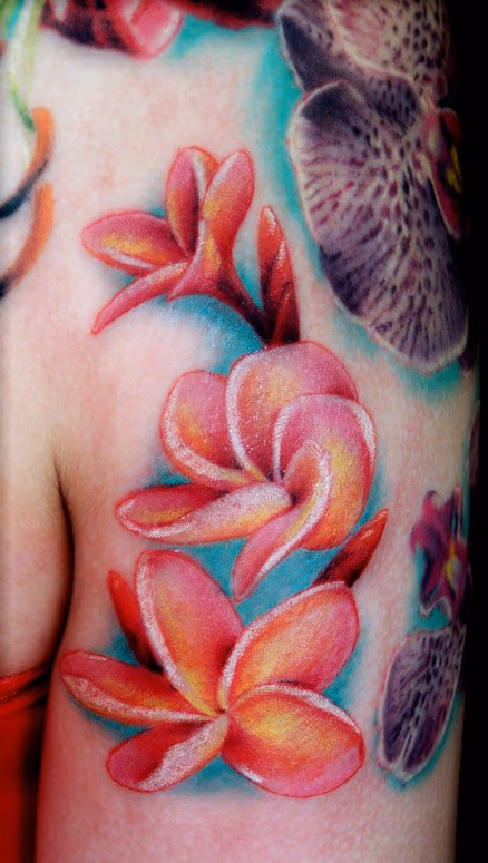 Plumeria