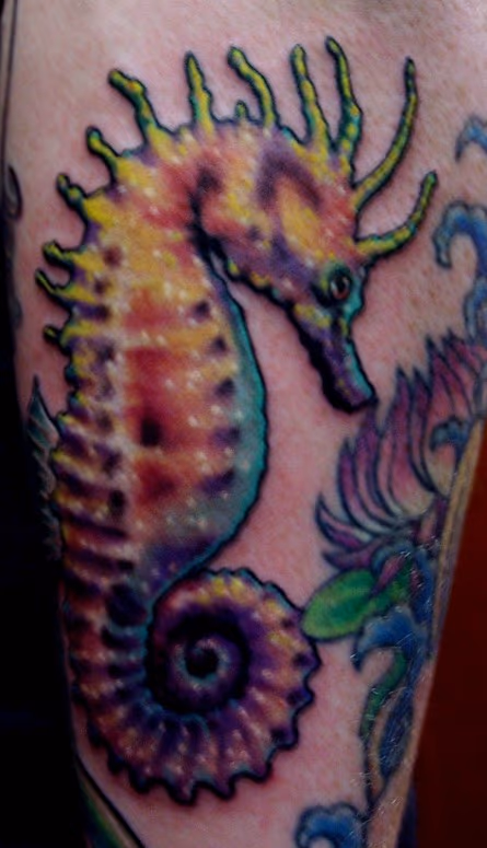 seahorse