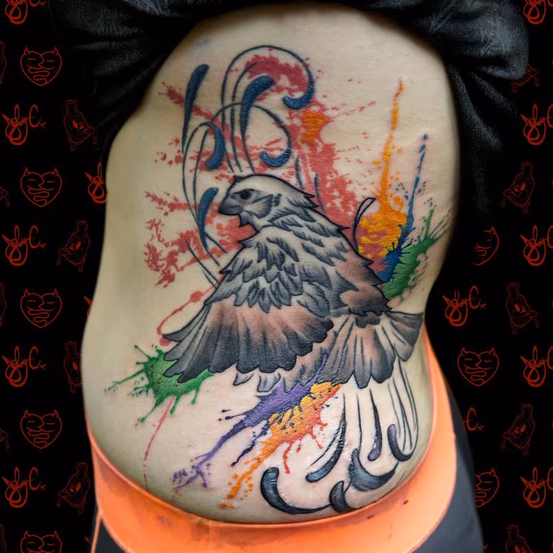 Sparrow