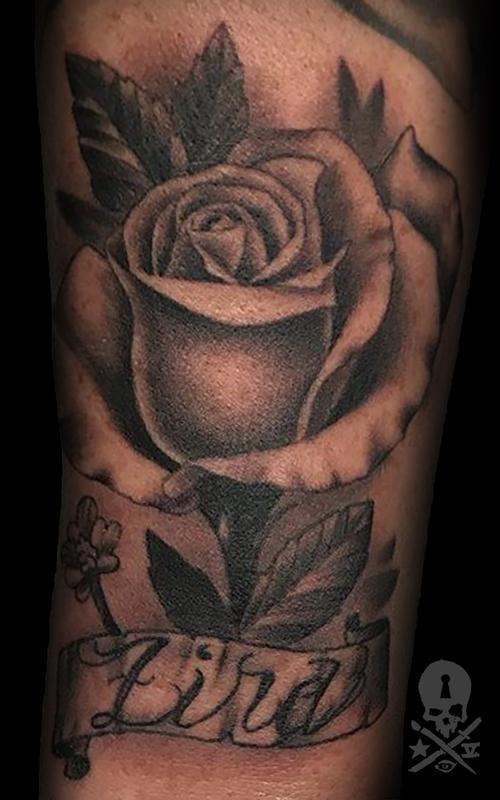 Rose