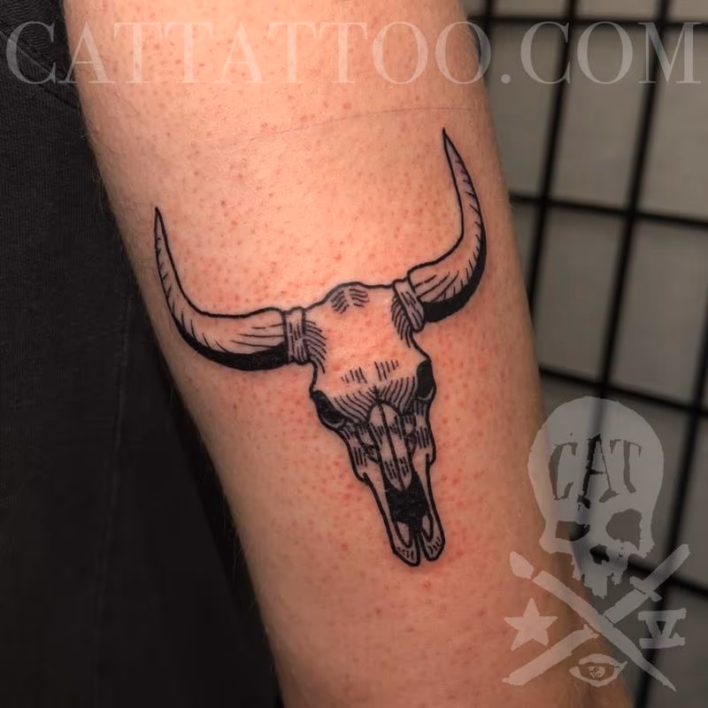 Cattle Skull