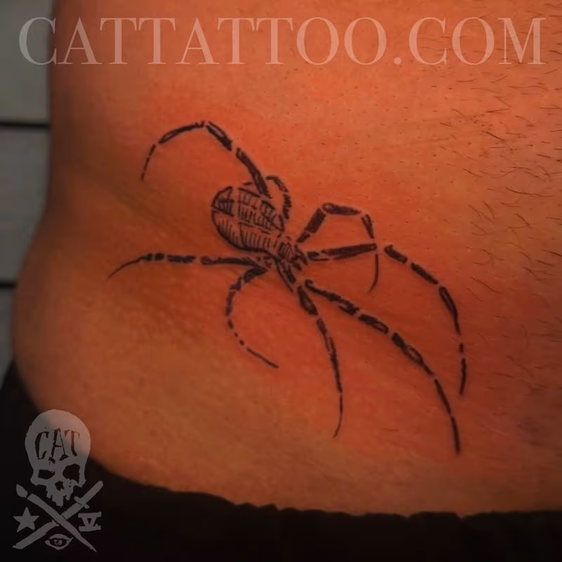 Spider