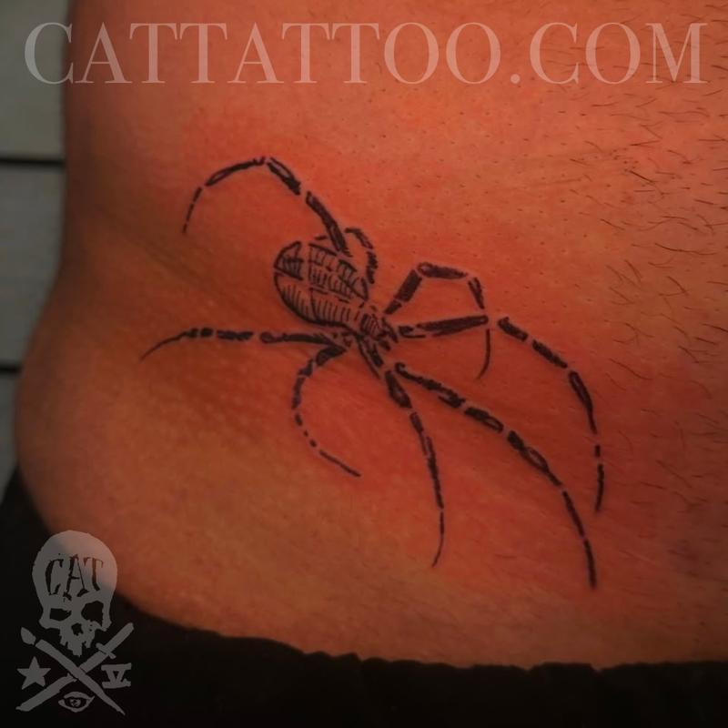 Spider