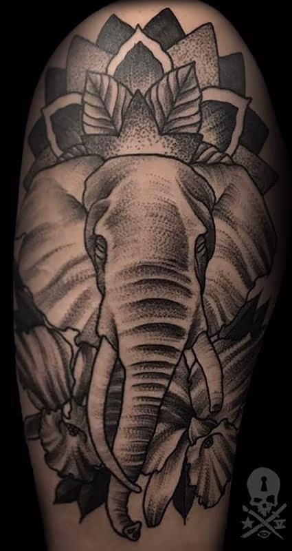 Elephant