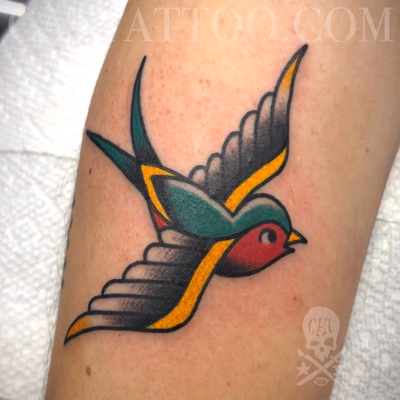 Swallow
