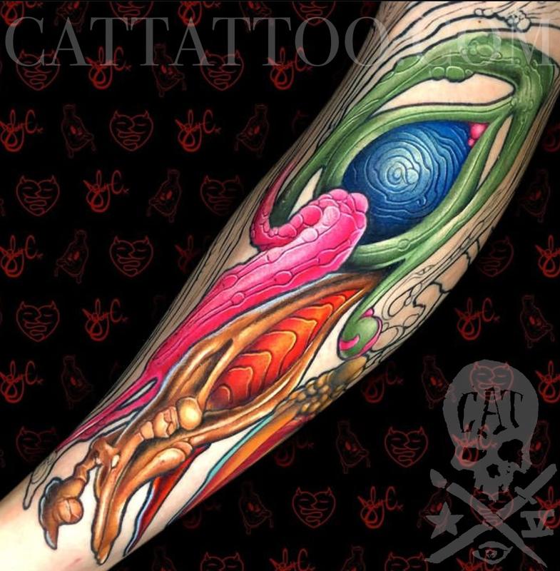 Biomech