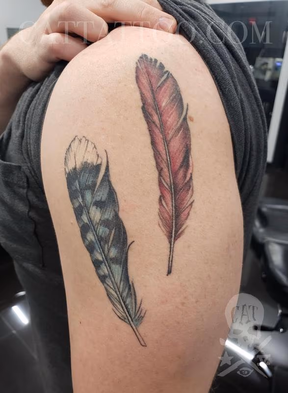 Feathers