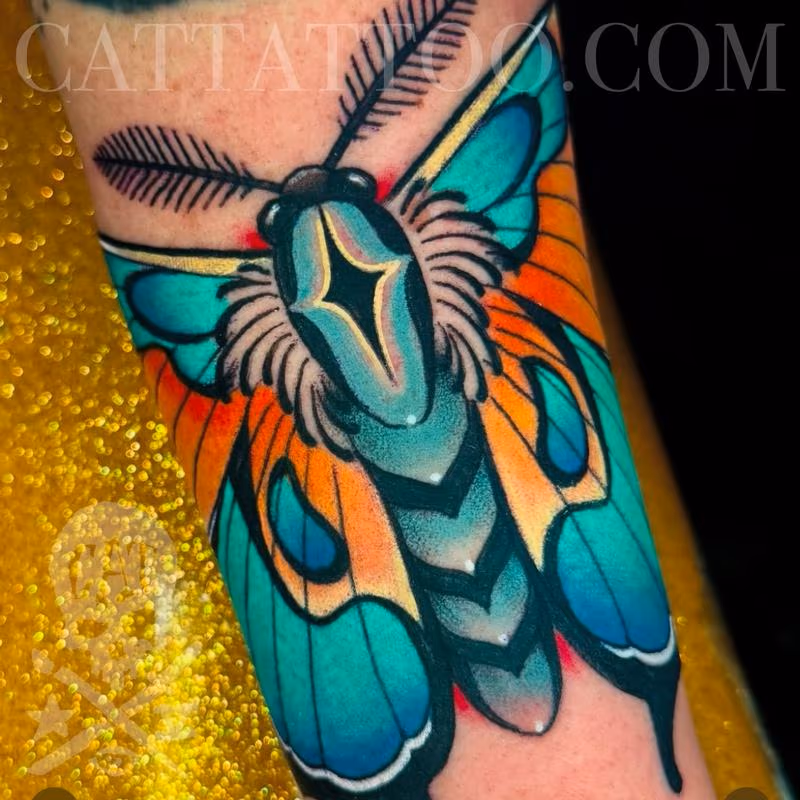 Butterfly