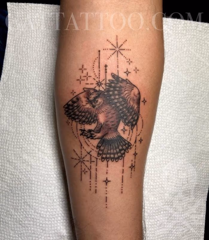Owl