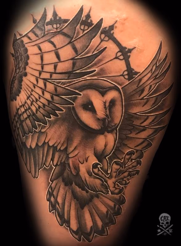 Owl