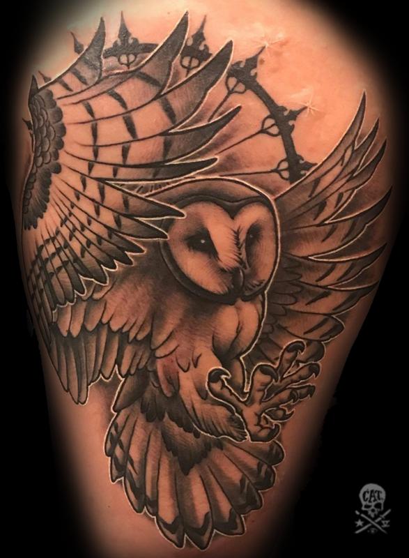 Owl