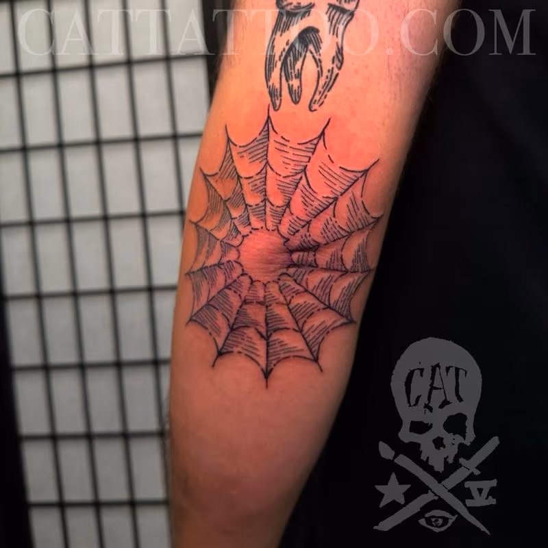 Spiderweb