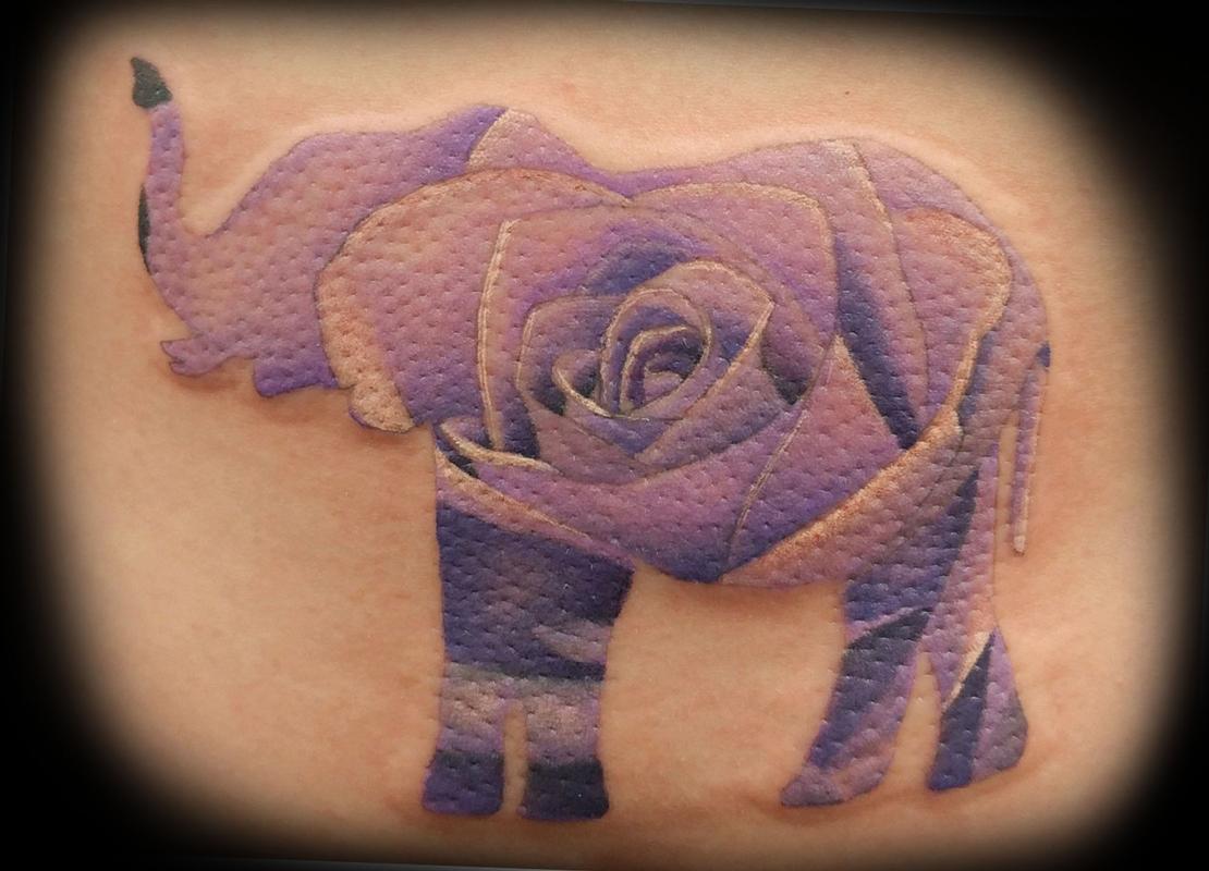 Elephant Rose