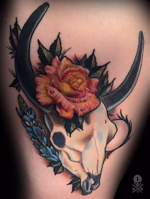 Bull Skull