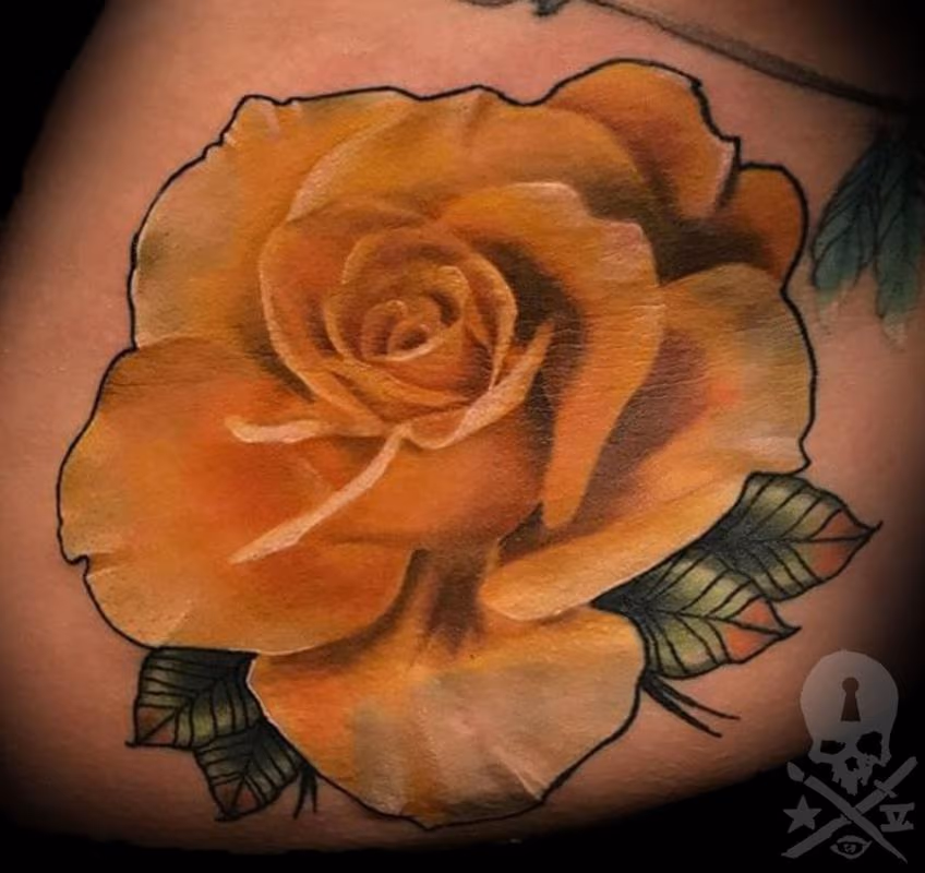 Yellow Rose