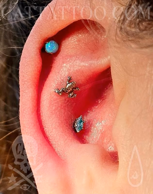 Cartilage and Conch