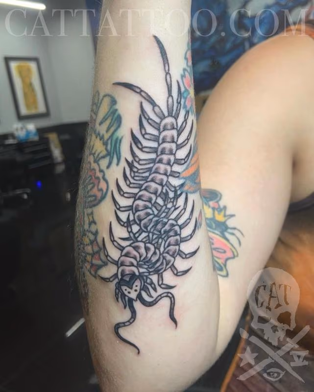 Centipede