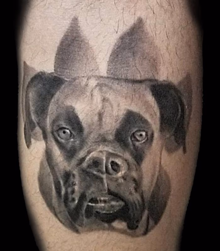 Doggo