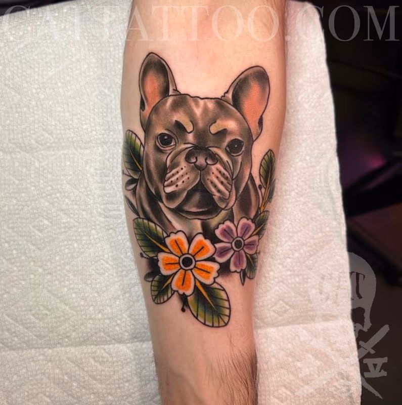 French Bulldog
