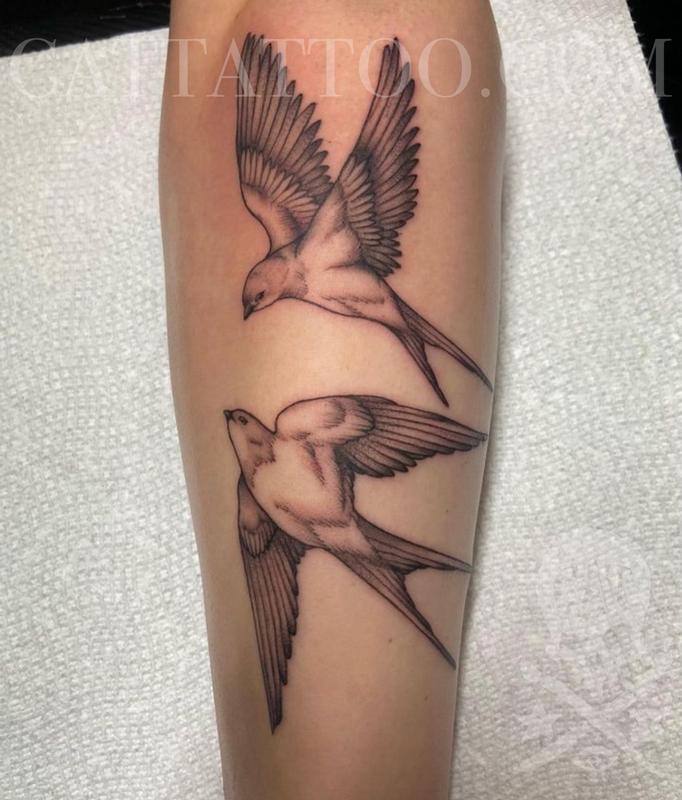 Birds