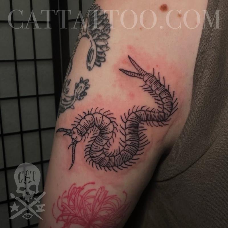 Centipede