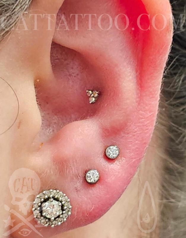 Lobes & Conch