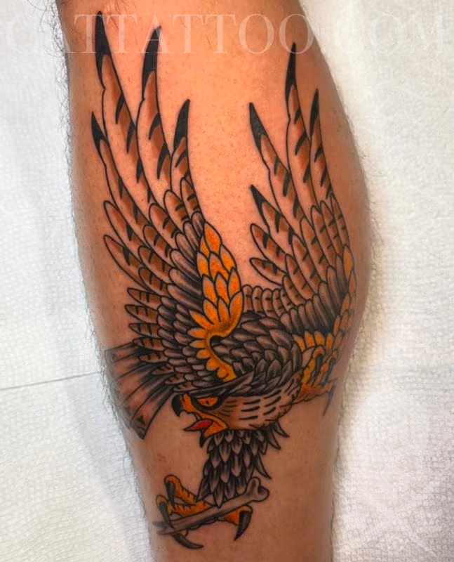 Falcon