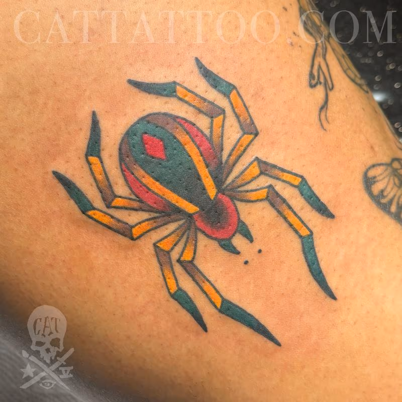 Spider